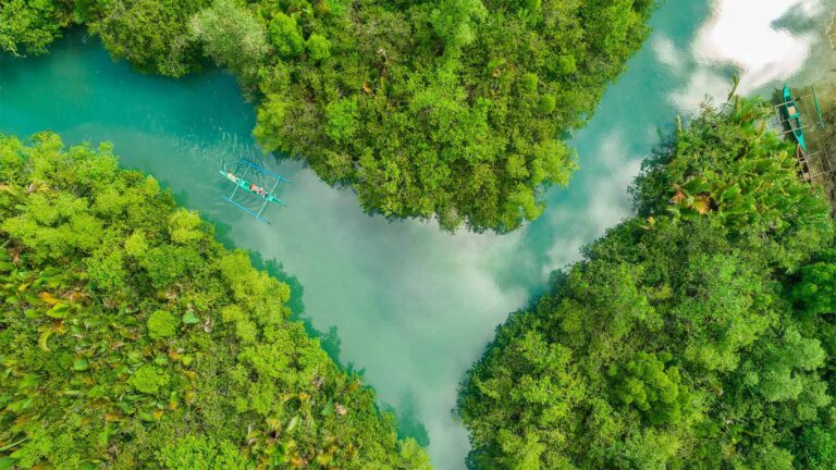 Le projet d’incinérateur d’Eswatini : une étape importante dans l’engagement du pays en faveur du développement durable