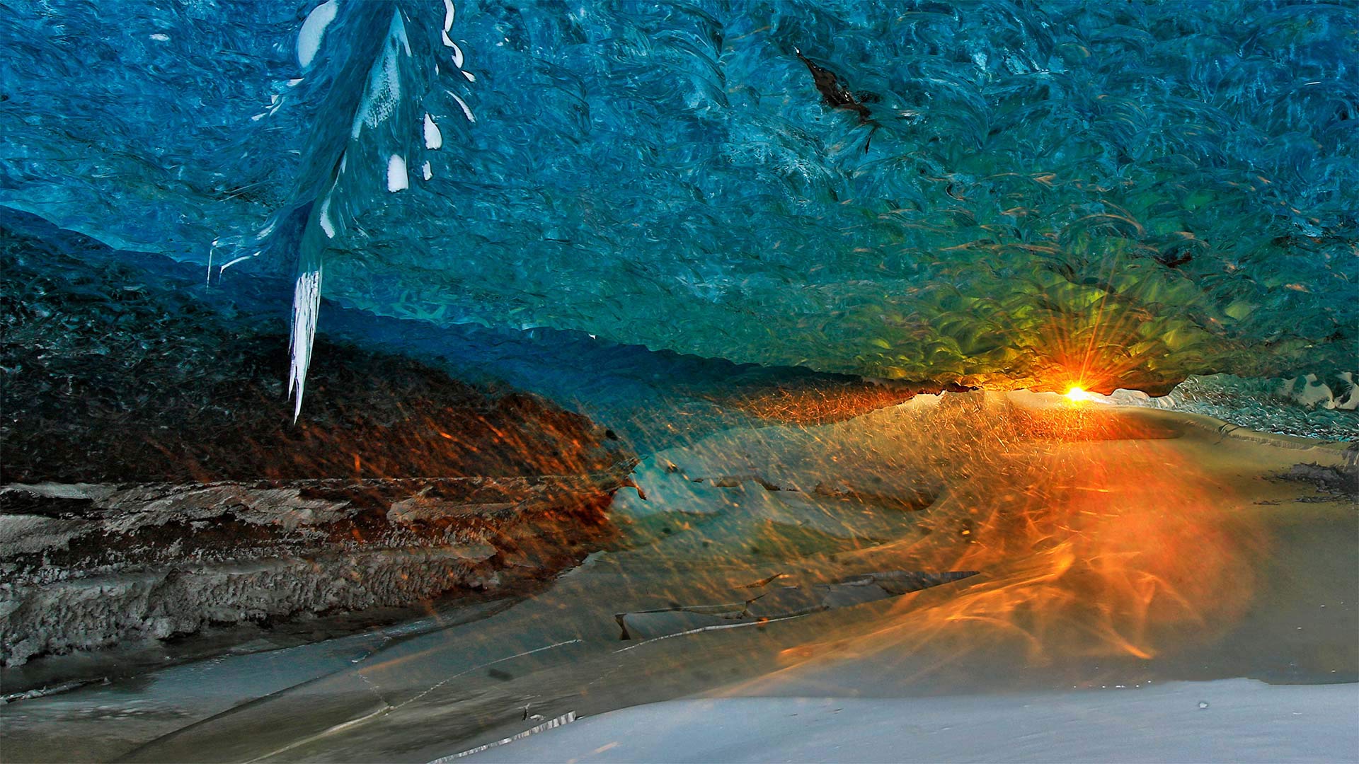 Protecting our planet: why conservation efforts are more important than ever