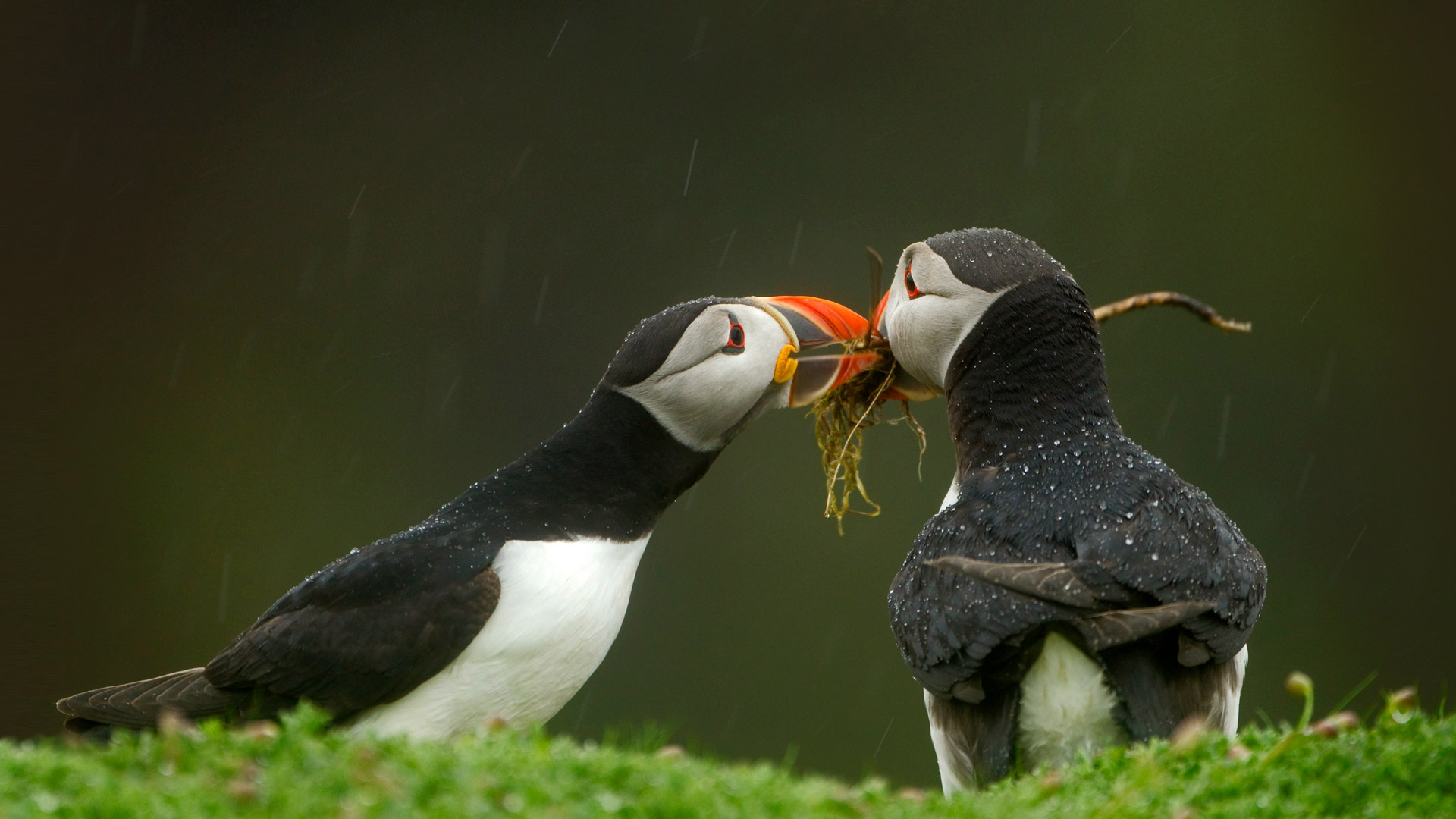 Discover the hidden wonders of the natural world