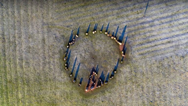 Des déchets aux cendres : le nouvel incinérateur d’Eswatini relève le défi de la gestion des déchets