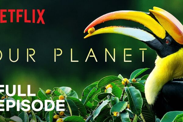Our Planet | Forests | FULL EPISODE | Netflix