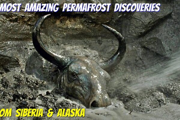 17 Most Amazing Permafrost Discoveries From Siberia & Alaska