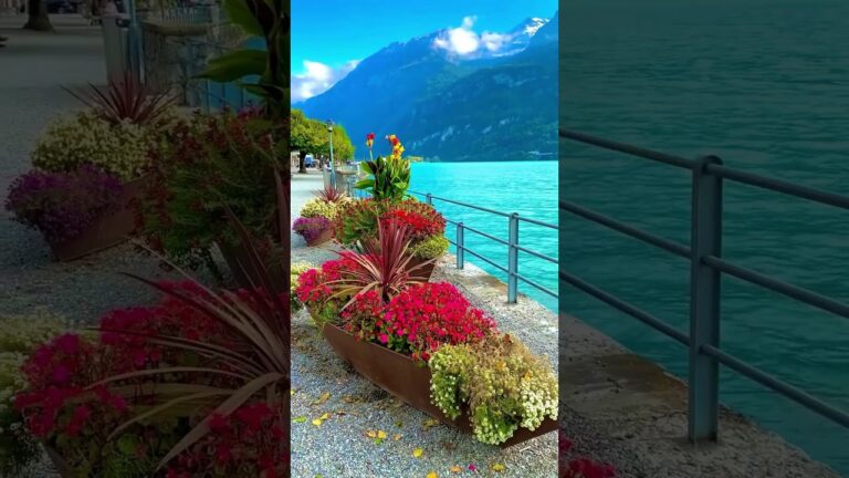 Spectacular Switzerland🇨🇭 Embracing Nature’s Majestic Charms❤️