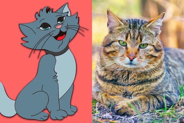 Pets! Learn the Names of Pets for Children