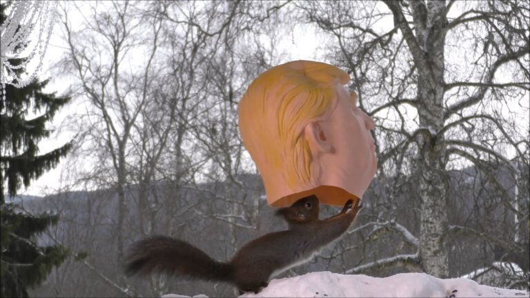 Trump the squirrel